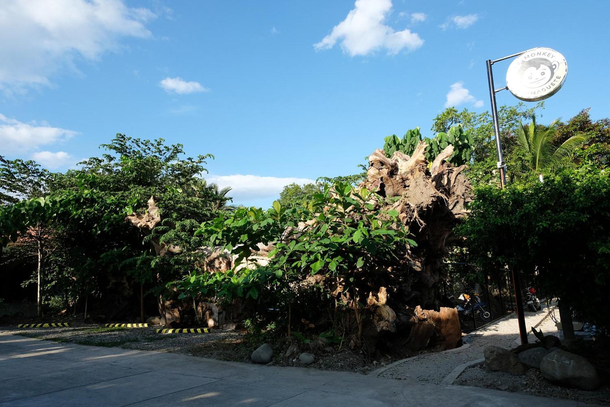 Mad Monkey Dumaguete Hostel Dumaguete City Екстериор снимка